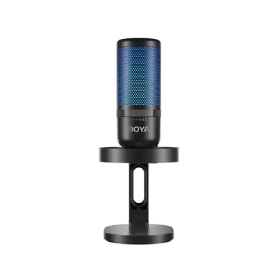 Microphone