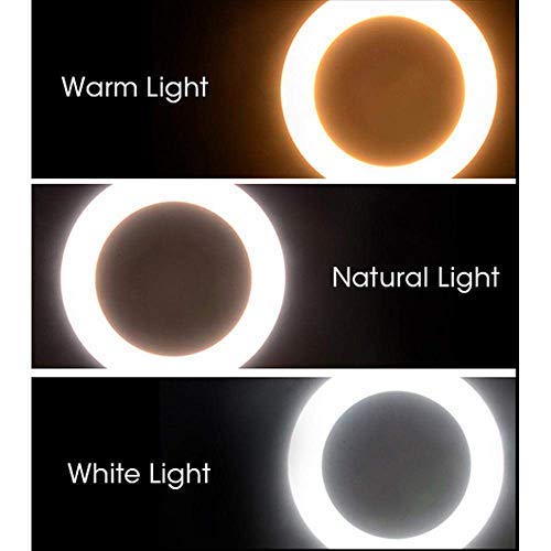 10 inch LED Ring Phil Light Ringlight Photography Beauty Light - PG SHOP